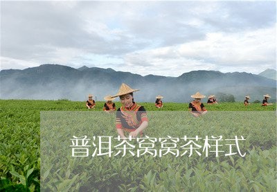 普洱茶窝窝茶样式/2023031706272