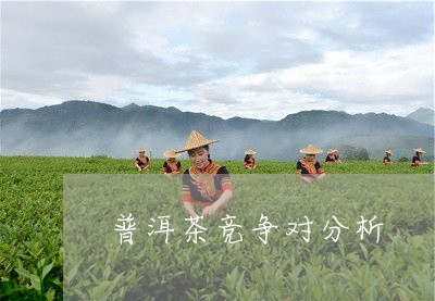 普洱茶竞争对分析/2023033079581