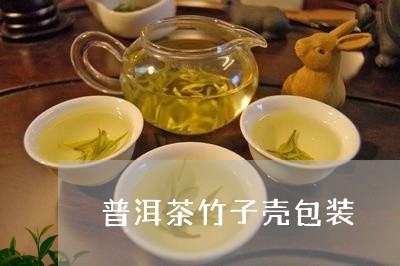 普洱茶竹子壳包装/2023041053058