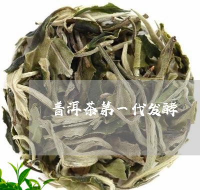 普洱茶第一代发酵/2023033038392