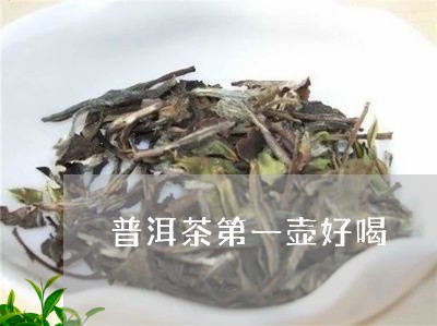 普洱茶第一壶好喝/2023033165060