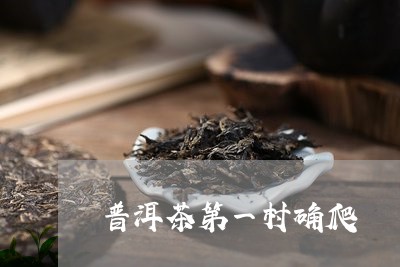 普洱茶第一村确爬/2023033013041