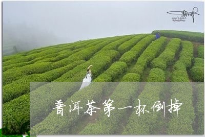 普洱茶第一杯倒掉/2023033002936