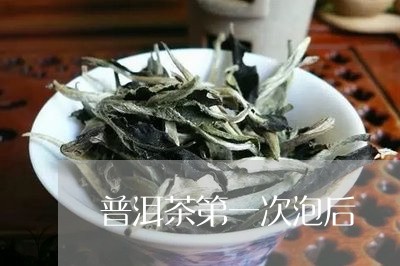 普洱茶第一次泡后/2023033035149