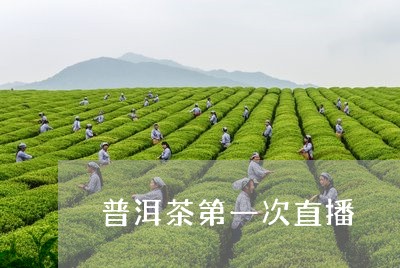 普洱茶第一次直播/2023033043604