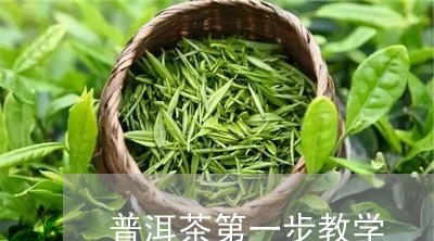 普洱茶第一步教学/2023033058364