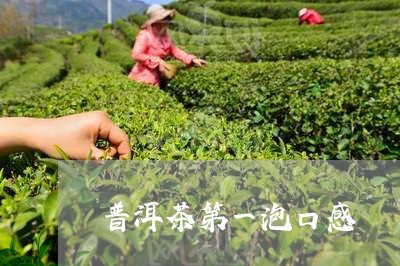 普洱茶第一泡口感/2023033039715