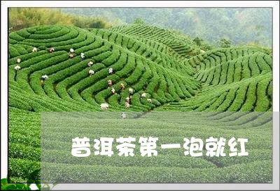 普洱茶第一泡就红/2023033072693