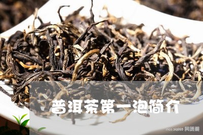 普洱茶第一泡简介/2023033113936