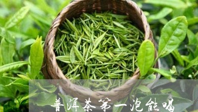 普洱茶第一泡能喝/2023041318362