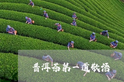 普洱茶第一道敬语/2023033139584