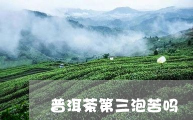 普洱茶第三泡苦吗/2023041376059