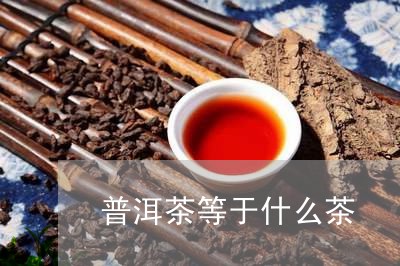 普洱茶等于什么茶/2023031746484