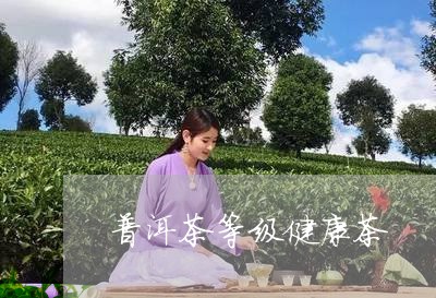 普洱茶等级健康茶/2023031725350