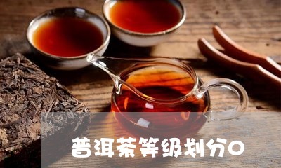 普洱茶等级划分0/2023041354136