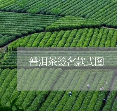 普洱茶签名款式图/2023041354867