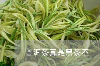 普洱茶算是黑茶不/2023041173026