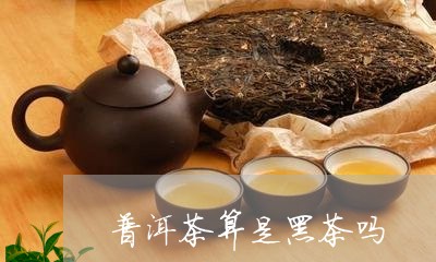 普洱茶算是黑茶吗/2023041136259