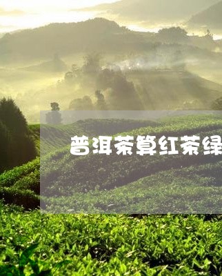 普洱茶算红茶绿茶/2023040919512