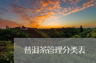 普洱茶管理分类表/2023041474617