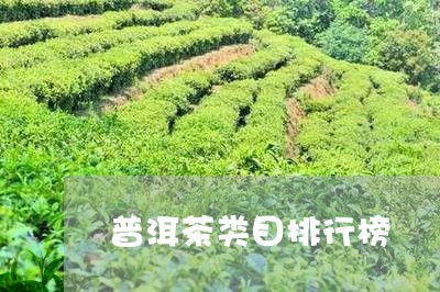 普洱茶类目排行榜/2023041394049