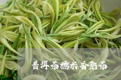 普洱茶糯米香熟茶/2023041103747