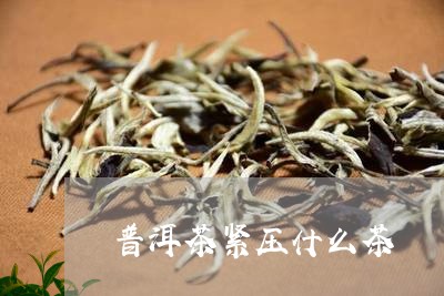 普洱茶紧压什么茶/2023031761486