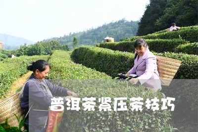 普洱茶紧压茶技巧/2023041181504