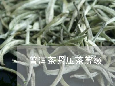 普洱茶紧压茶等级/2023041161705