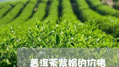 普洱茶紫娟的价格/2023031752504