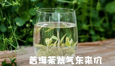 普洱茶紫气东来价/2023031770493