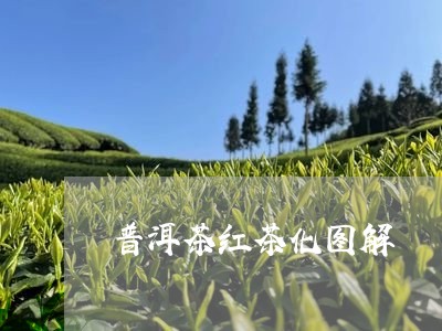 普洱茶红茶化图解/2023040958471