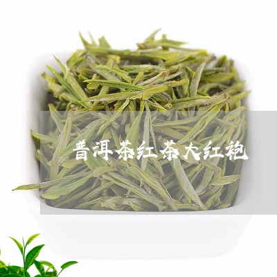 普洱茶红茶大红袍/2023040148462