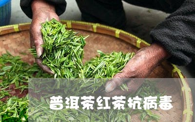 普洱茶红茶抗病毒/2023040197271