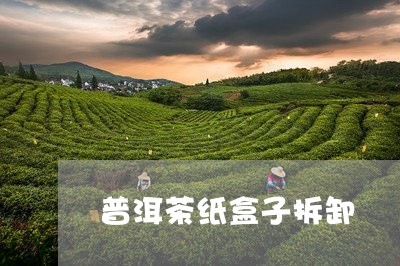 普洱茶纸盒子拆卸/2023031792813