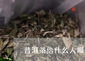 普洱茶给什么人喝/2023033100393