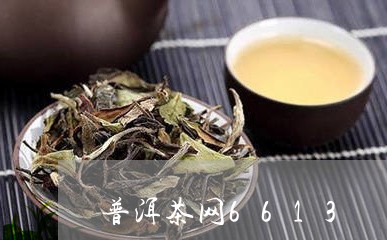 普洱茶网6613/2023041179838