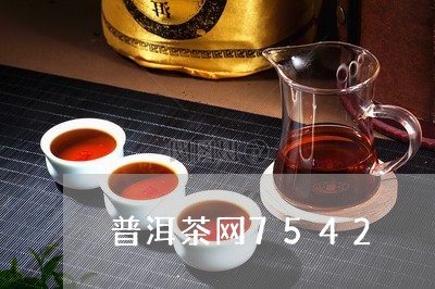 普洱茶网7542/2023041043717