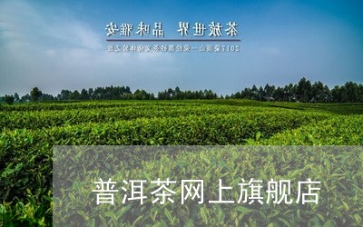 普洱茶网上旗舰店/2023040172928