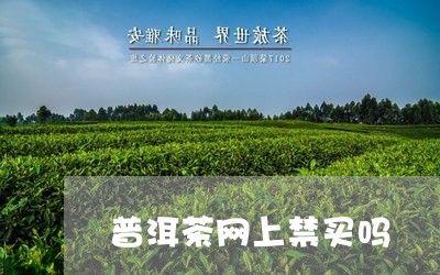 普洱茶网上禁买吗/2023041379371