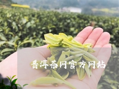 普洱茶网官方网站/2023033030605