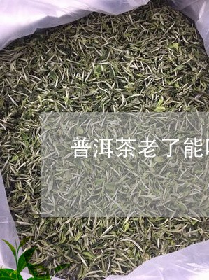 普洱茶老了能喝吗/2023041236261