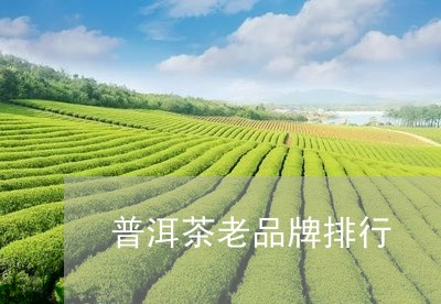 普洱茶老品牌排行/2023031769614