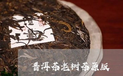 普洱茶老树茶原版/2023031789392