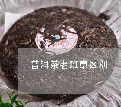 普洱茶老班章区别/2023031743814