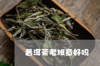 普洱茶老班章好吗/2023031821604