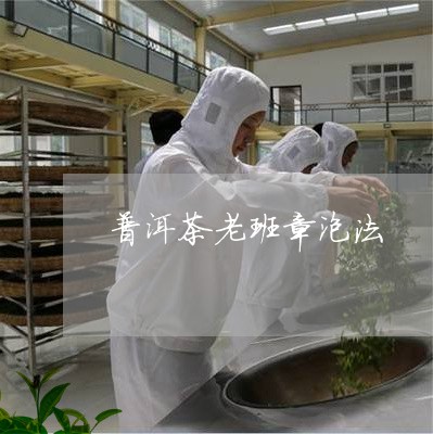 普洱茶老班章泡法/2023041209481