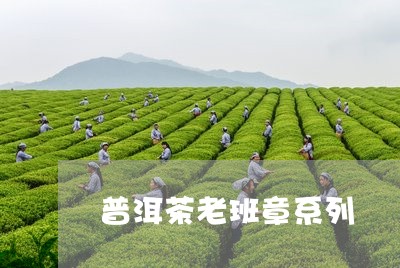 普洱茶老班章系列/2023041244727