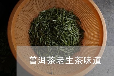 普洱茶老生茶味道/2023041282624