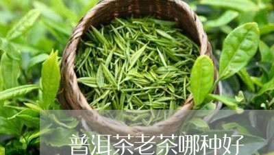 普洱茶老茶哪种好/2023041163250